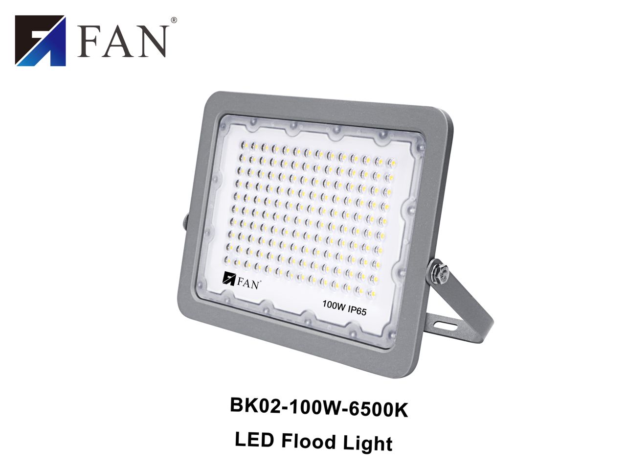 BK-02 100W 6500K