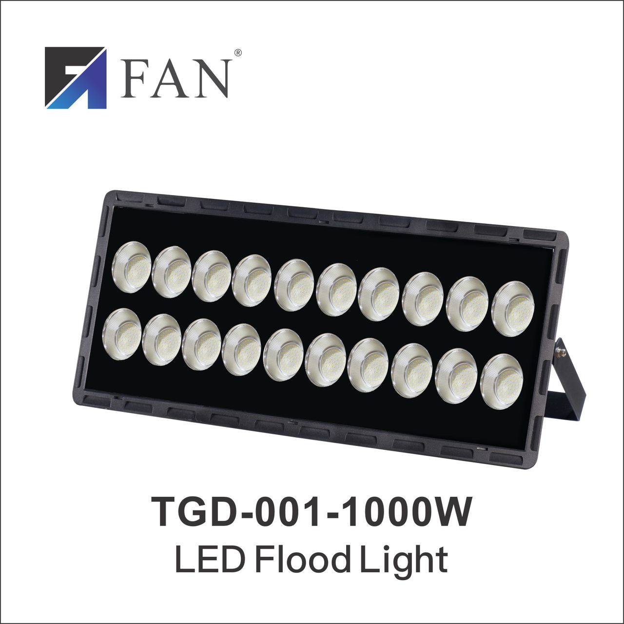 TGD-001 1000W