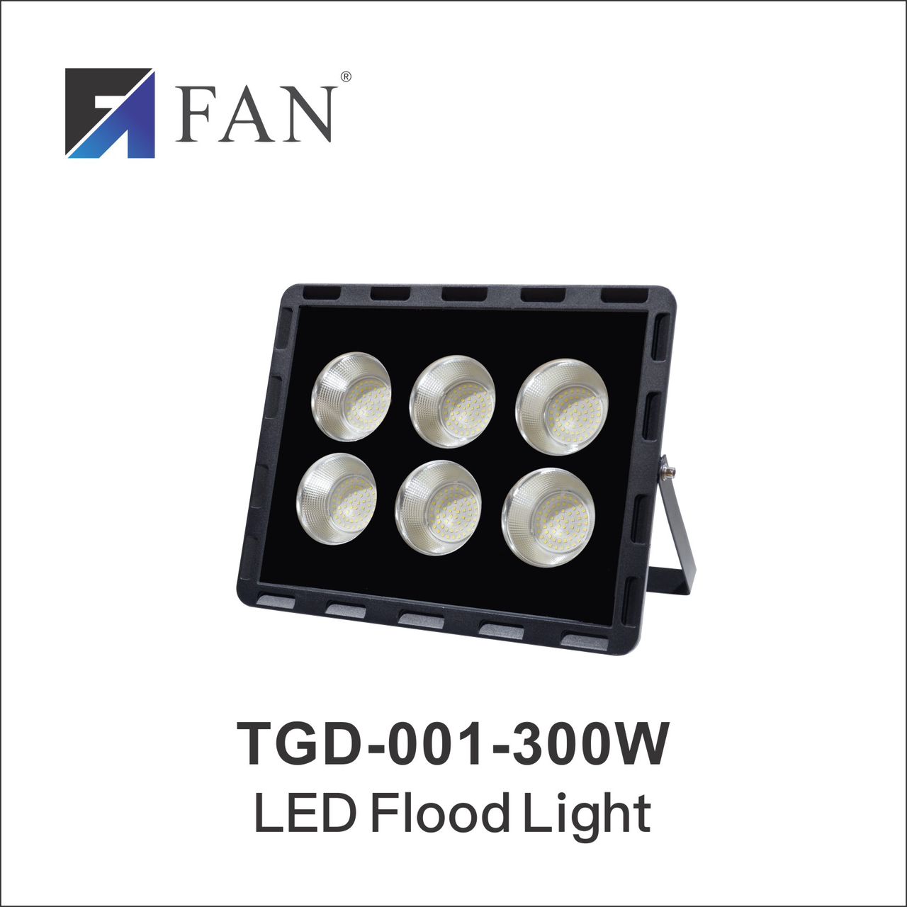 TGD-001 300W